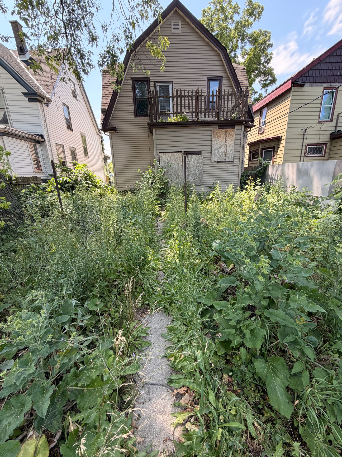 Yard Cleanup — before